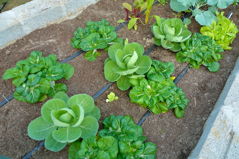 Buried Irrigation Service