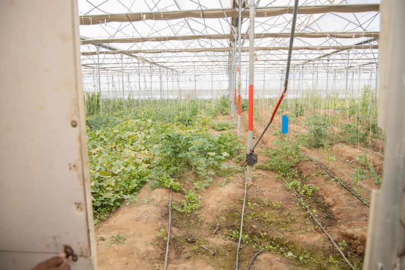 Irrigation Service in Aiken, SC
