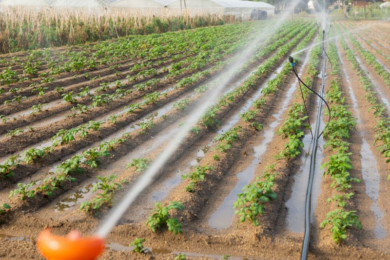 Irrigation Service in Aiken, SC