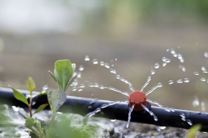 Lawn Irrigation Installation in Ventura County, CA