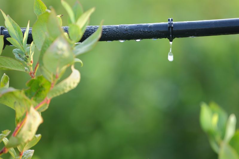 Aiken, SC