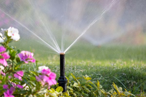 Watering System Installation